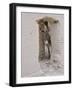 Russian Look of the Land Essay: Donkey Peering Out of Doorway at Merv-Howard Sochurek-Framed Photographic Print