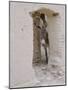 Russian Look of the Land Essay: Donkey Peering Out of Doorway at Merv-Howard Sochurek-Mounted Photographic Print