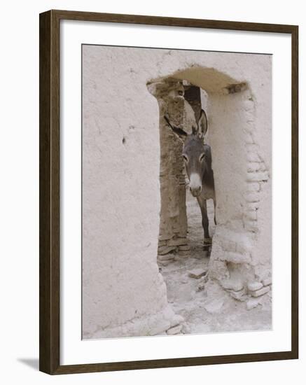 Russian Look of the Land Essay: Donkey Peering Out of Doorway at Merv-Howard Sochurek-Framed Photographic Print