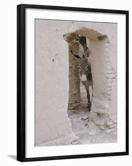 Russian Look of the Land Essay: Donkey Peering Out of Doorway at Merv-Howard Sochurek-Framed Photographic Print