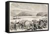 Russian Military Transport from Simnitza to Sistova-null-Framed Stretched Canvas