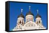 Russian Orthodox Alexander Nevsky Cathedral in Toompea, Old Town, Tallinn, Estonia, Baltic States-Nico Tondini-Framed Stretched Canvas