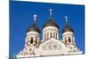 Russian Orthodox Alexander Nevsky Cathedral in Toompea, Old Town, Tallinn, Estonia, Baltic States-Nico Tondini-Mounted Photographic Print