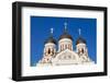 Russian Orthodox Alexander Nevsky Cathedral in Toompea, Old Town, Tallinn, Estonia, Baltic States-Nico Tondini-Framed Photographic Print