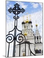 Russian Orthodox Church in Bagrationovsk, Kaliningrad, Russia-Gavin Hellier-Mounted Photographic Print
