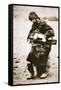 Russian Peasant Playing Hurdy Gurdy, C.1880S (Sepia Photo)-Russian Photographer-Framed Stretched Canvas