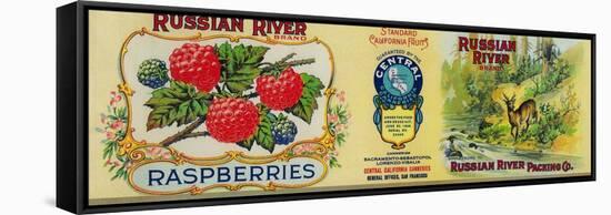 Russian River Raspberry Label - San Francisco, CA-Lantern Press-Framed Stretched Canvas