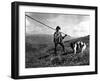 Russian Shepherd-null-Framed Photographic Print