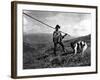 Russian Shepherd-null-Framed Photographic Print