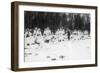 Russian Soldiers in Winter Uniform, Galician Front, Poland, World War I, December 1914-null-Framed Giclee Print