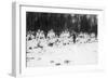 Russian Soldiers in Winter Uniform, Galician Front, Poland, World War I, December 1914-null-Framed Giclee Print