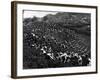 Russian Tea Plantation-null-Framed Photographic Print