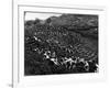 Russian Tea Plantation-null-Framed Photographic Print