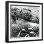 Russian Troops on the Counter-Attack, Mozdok Region, Northern Caucasus, September 1942-null-Framed Giclee Print