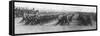 Russian Troops Parading During French President Raymond Poincare's Visit to Russia, 22 July, 1914-null-Framed Stretched Canvas