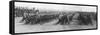 Russian Troops Parading During French President Raymond Poincare's Visit to Russia, 22 July, 1914-null-Framed Stretched Canvas
