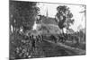 Russian Troops Retreating in Disarray, Ternopil, Ukraine, First World War, 1 July 1917-null-Mounted Giclee Print