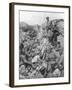 Russian Troops Waiting for the Signal, Ternopil, Ukraine, First World War, 1 July 1917-null-Framed Giclee Print