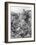 Russian Troops Waiting for the Signal, Ternopil, Ukraine, First World War, 1 July 1917-null-Framed Giclee Print