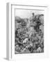 Russian Troops Waiting for the Signal, Ternopil, Ukraine, First World War, 1 July 1917-null-Framed Giclee Print