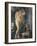 Russian Venus-B. M. Kustodiev-Framed Giclee Print
