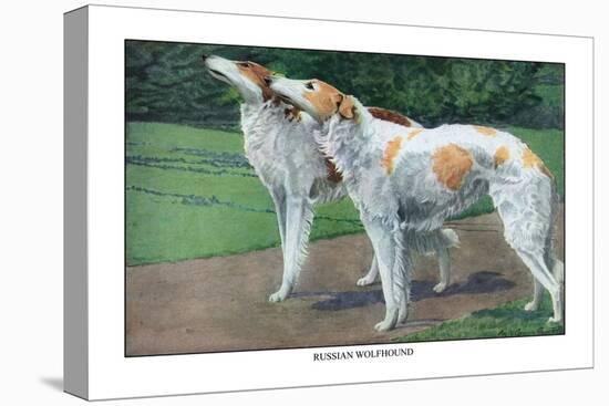 Russian Wolfhound-Louis Agassiz Fuertes-Stretched Canvas