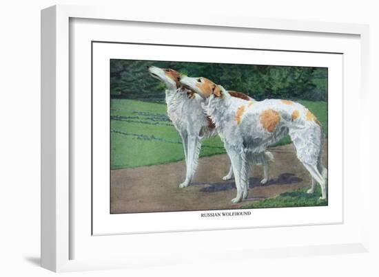 Russian Wolfhound-Louis Agassiz Fuertes-Framed Art Print