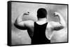 Russian Wrestler's Back and Shoulders-null-Framed Stretched Canvas