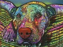 Stare Down, Dogs, Pets, Eyes, Look, Challenge, Animals, Colorful, Stencils, Pop Art, Yellow-Russo Dean-Giclee Print