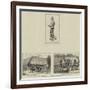 Russo-Turkish War-null-Framed Giclee Print