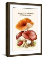 Russula Red-Capped Mushroooms-Edmund Michael-Framed Art Print