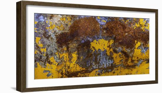 Rust Abstract-Art Wolfe-Framed Photographic Print