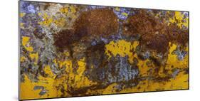Rust Abstract-Art Wolfe-Mounted Photographic Print