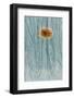 Rust and scratches on metal look like a flower.-Art Wolfe-Framed Photographic Print