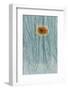 Rust and scratches on metal look like a flower.-Art Wolfe-Framed Photographic Print