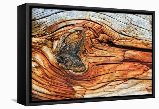 Rust and Wood-blackboard1965-Framed Stretched Canvas