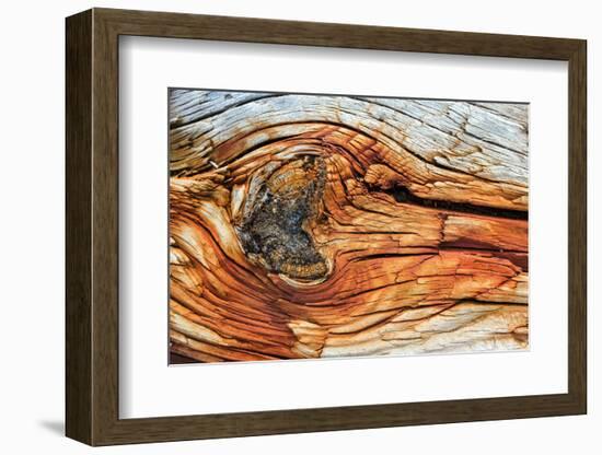 Rust and Wood-blackboard1965-Framed Photographic Print