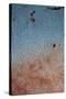 Rust on Antique Car 2-Erin Berzel-Stretched Canvas