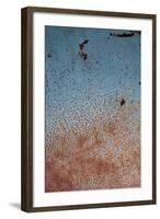 Rust on Antique Car 2-Erin Berzel-Framed Photographic Print