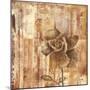 Rust Rose II-Carol Black-Mounted Art Print