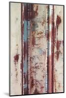 Rust Textures-Erin Clark-Mounted Art Print