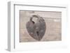 Rust Warm Lock-null-Framed Photographic Print