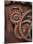 Rusted Gears-Don Paulson-Mounted Giclee Print