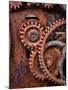 Rusted Gears-Don Paulson-Mounted Giclee Print