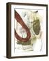 Rusted Loops I-Jennifer Goldberger-Framed Art Print