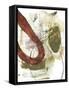 Rusted Loops I-Jennifer Goldberger-Framed Stretched Canvas