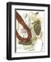 Rusted Loops I-Jennifer Goldberger-Framed Art Print