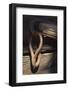 Rusted metal, California-Zandria Muench Beraldo-Framed Photographic Print