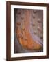 Rusted Rivets-Don Paulson-Framed Giclee Print