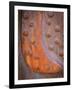 Rusted Rivets-Don Paulson-Framed Giclee Print